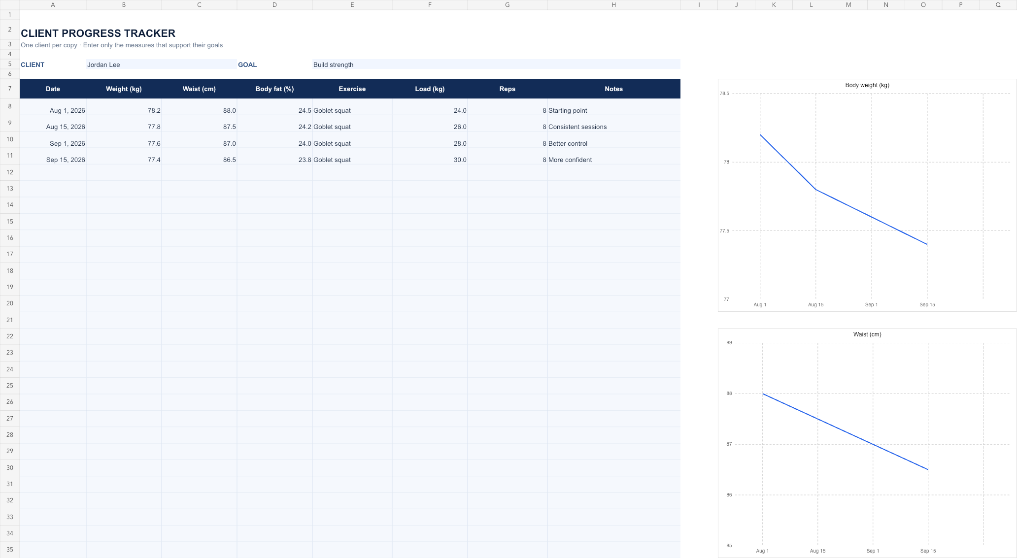 Example worksheet showing a fictional client's measurements and strength progress